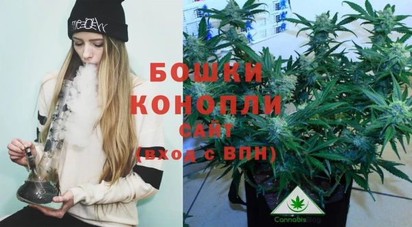 бошки Балахна
