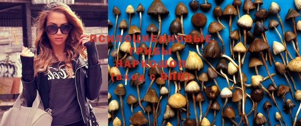 бошки Балахна