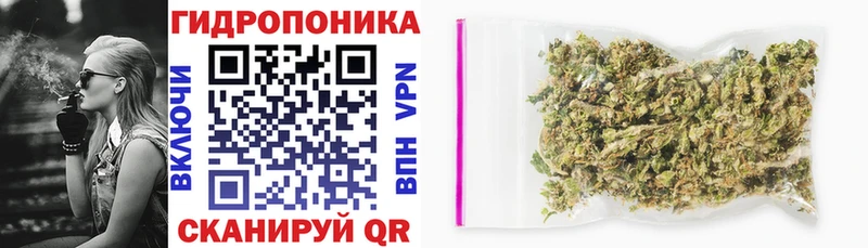 Марихуана индика как найти закладки Котельниково